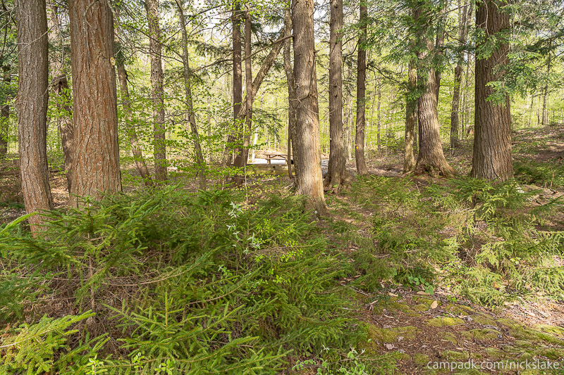 Campsite Photo of Site 70 at Nicks Lake Campground, New York - Returning Along Pathway from Water