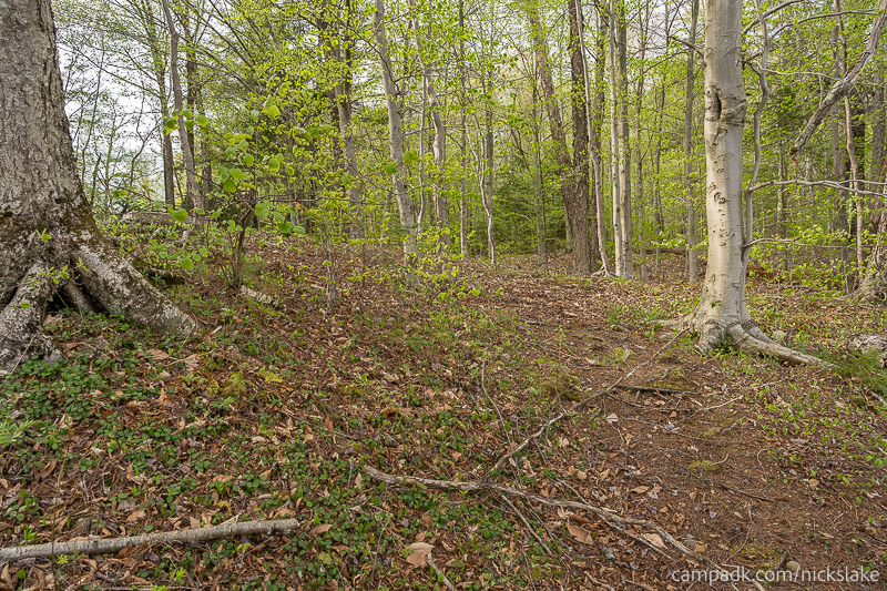 Campsite Photo of Site 112 at Nicks Lake Campground, New York - Returning Along Pathway from Water