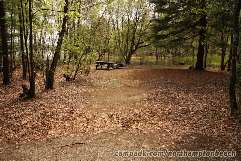 Campsite Photo of Site 98 at Northampton Beach Campground, New York - Looking at Site from Road Sign Visible