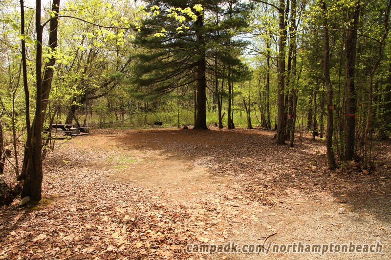 Campsite Photo of Site 98 at Northampton Beach Campground, New York - Looking at Site from Road Sign Visible