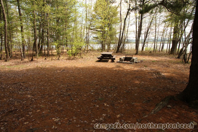 Campsite Photo of Site 98 at Northampton Beach Campground, New York - Cross Site View