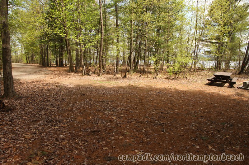 Campsite Photo of Site 98 at Northampton Beach Campground, New York - Cross Site View