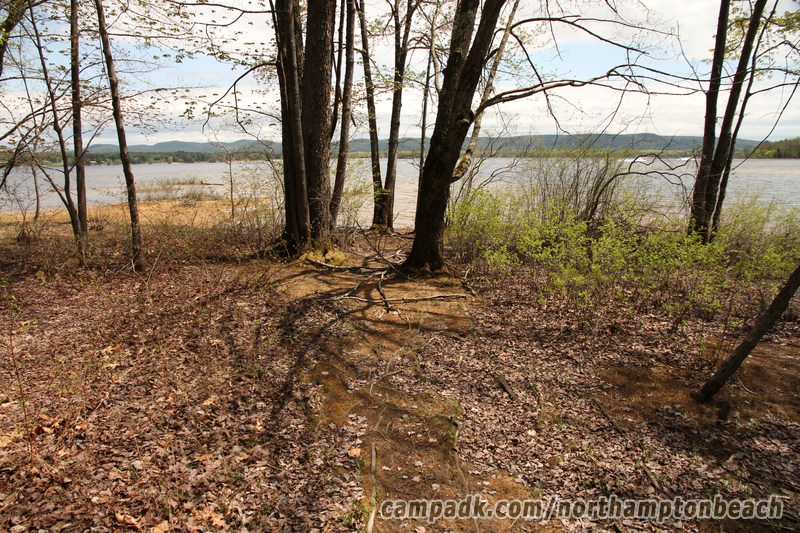 Campsite Photo of Site 98 at Northampton Beach Campground, New York - Pathway Down to Water