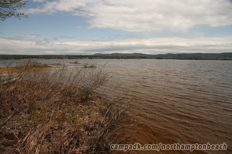 Campsite Photo of Site 98 at Northampton Beach Campground, New York - View from Shoreline