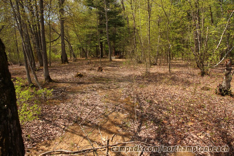 Campsite Photo of Site 98 at Northampton Beach Campground, New York - Returning Along Pathway from Water