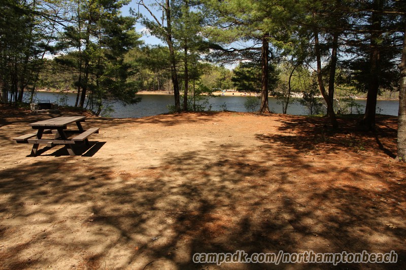 Campsite Photo of Site 74 at Northampton Beach Campground, New York - Cross Site View