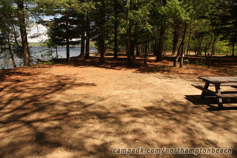 Campsite Photo of Site 74 at Northampton Beach Campground, New York - Cross Site View