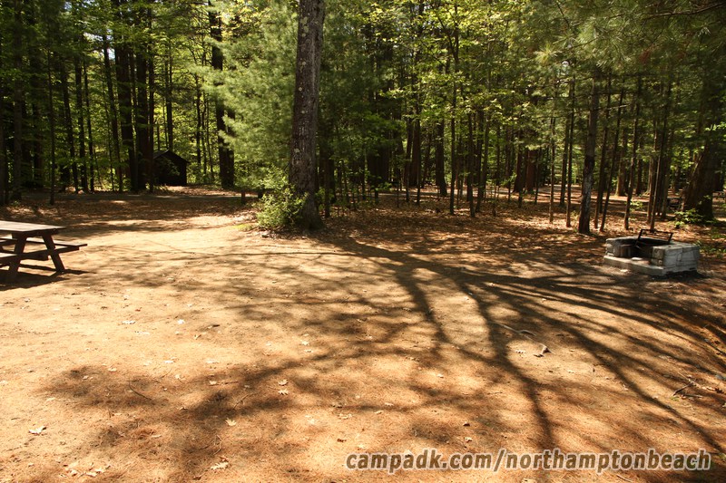 Campsite Photo of Site 74 at Northampton Beach Campground, New York - Looking Back Towards Road
