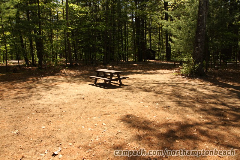 Campsite Photo of Site 74 at Northampton Beach Campground, New York - Looking Back Towards Road