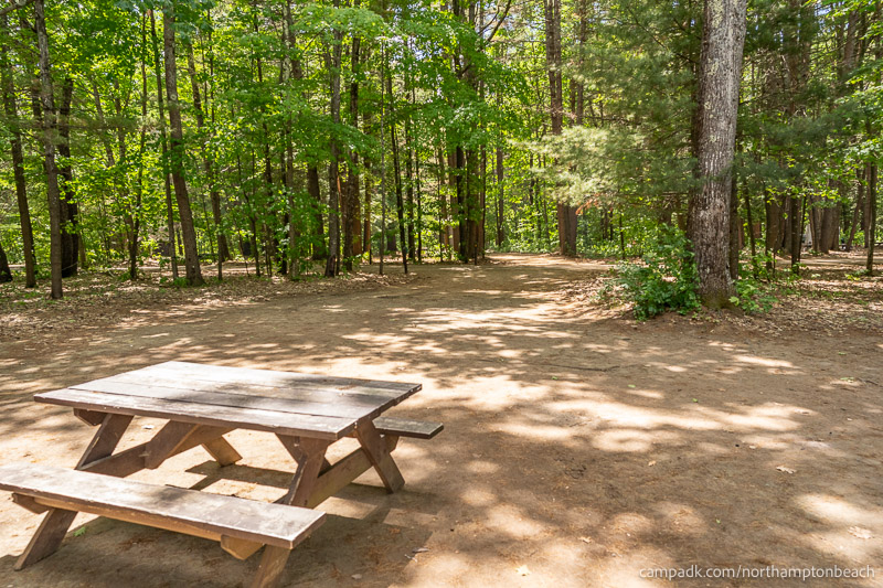Campsite Photo of Site 74 at Northampton Beach Campground, New York - Looking Back Towards Road