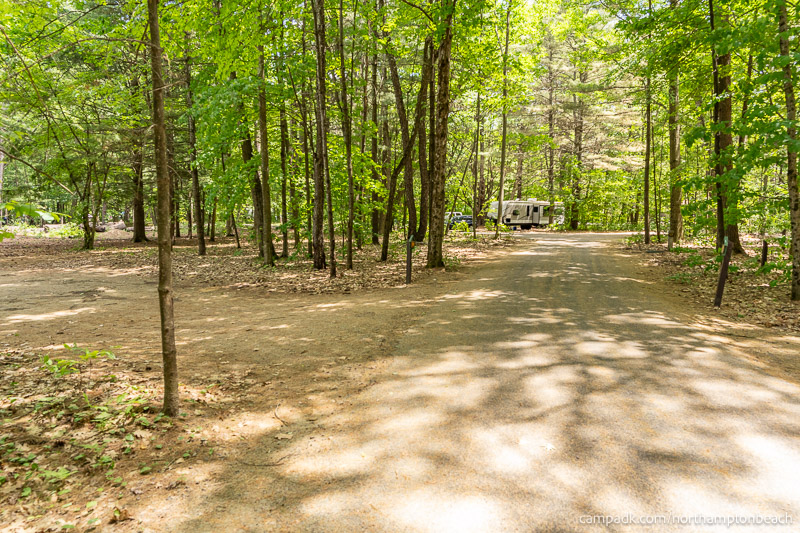 Campsite Photo of Site 74 at Northampton Beach Campground, New York - View Down Road from Campsite