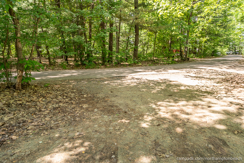 Campsite Photo of Site 98 at Northampton Beach Campground, New York - Looking Back Towards Road