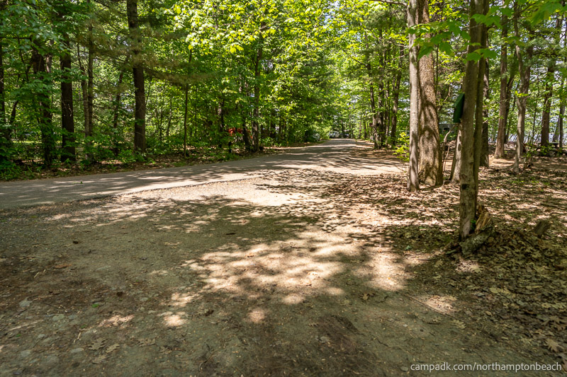 Campsite Photo of Site 98 at Northampton Beach Campground, New York - Looking Back Towards Road