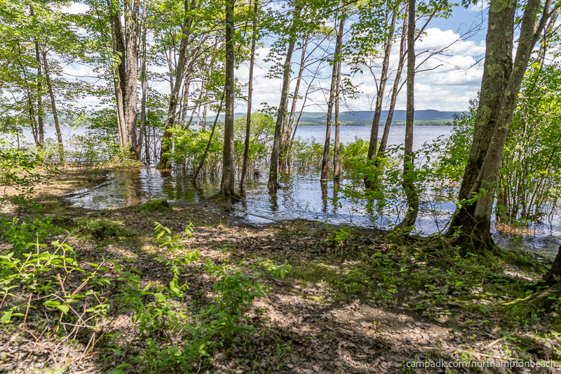 Campsite Photo of Site 98 at Northampton Beach Campground, New York - Shoreline