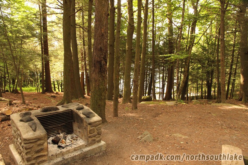 Campsite Photo of Site 63 at North South Lake Campground, New York - Fireplace View