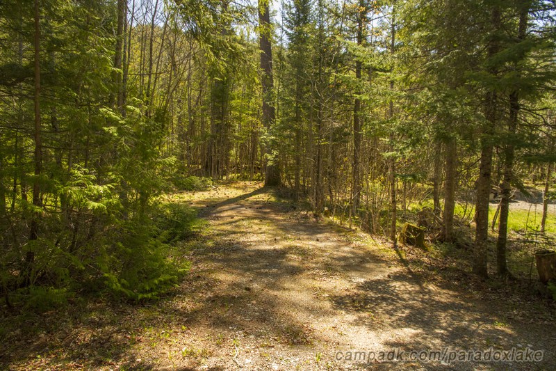 Campsite Photo of Site 2 at Paradox Lake Campground, New York - Looking at Site from Road
