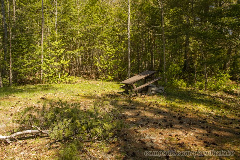 Campsite Photo of Site 2 at Paradox Lake Campground, New York - Cross Site View