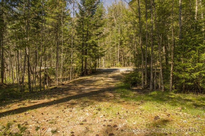 Campsite Photo of Site 2 at Paradox Lake Campground, New York - Looking Back Towards Road