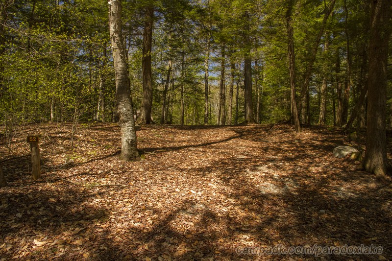 Campsite Photo of Site 52 at Paradox Lake Campground, New York - Looking at Site from Road Sign Visible