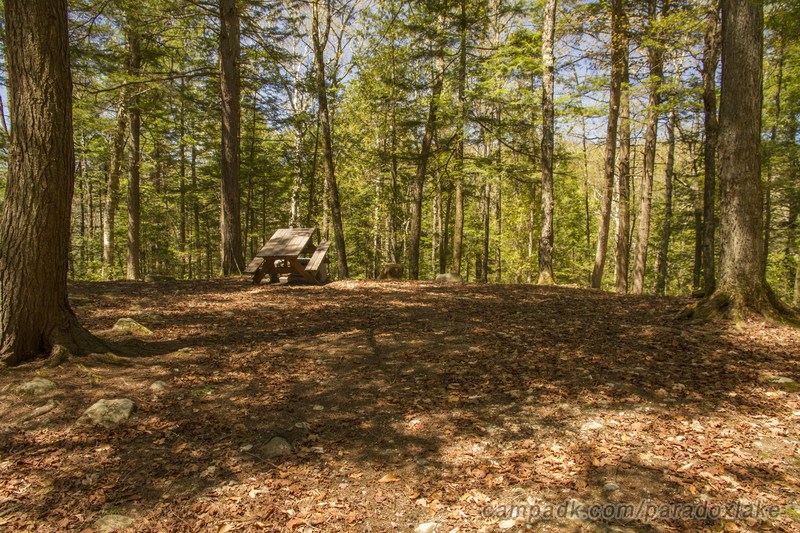Campsite Photo of Site 52 at Paradox Lake Campground, New York - Looking at Site from Part Way In