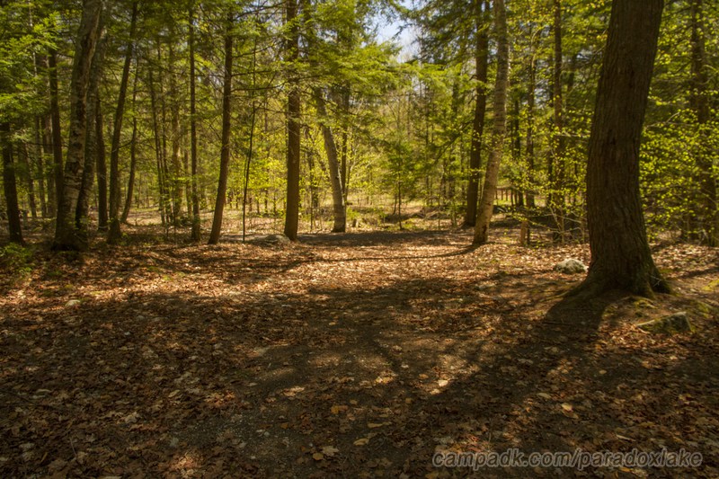 Campsite Photo of Site 52 at Paradox Lake Campground, New York - Looking Back Towards Road