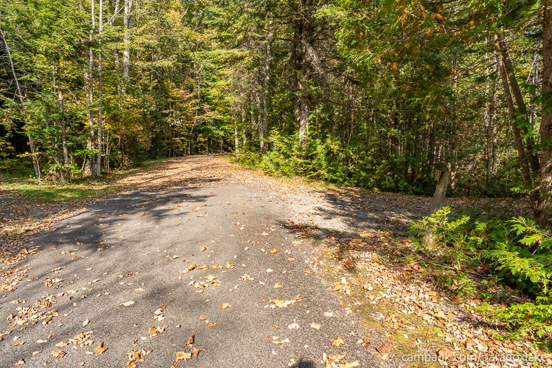 Campsite Photo of Site 2 at Paradox Lake Campground, New York - View Down Road from Campsite
