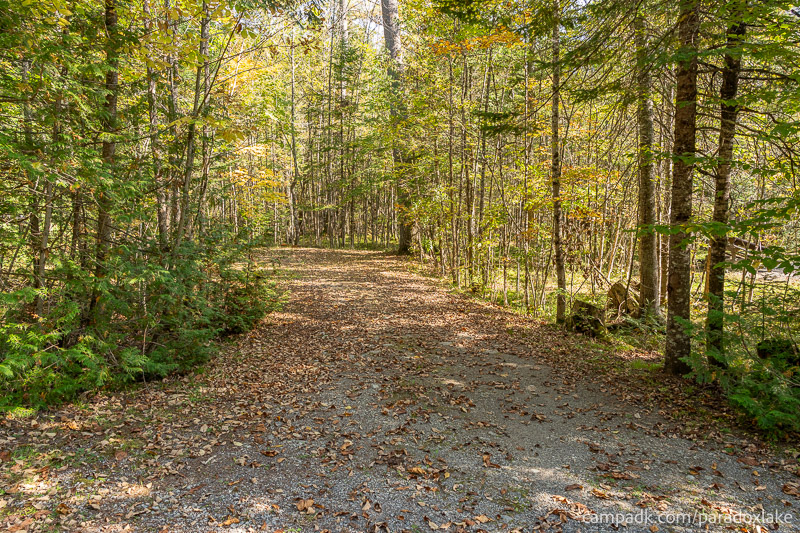 Campsite Photo of Site 2 at Paradox Lake Campground, New York - Looking at Site from Road