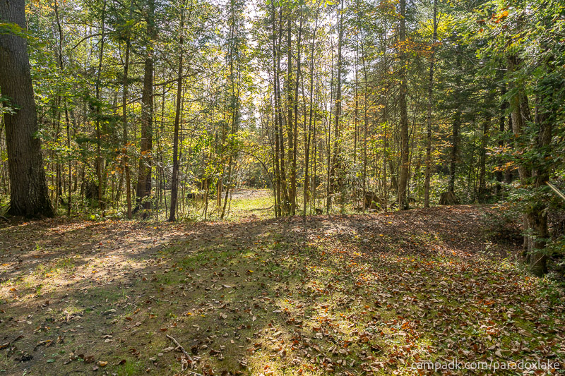 Campsite Photo of Site 2 at Paradox Lake Campground, New York - Cross Site View