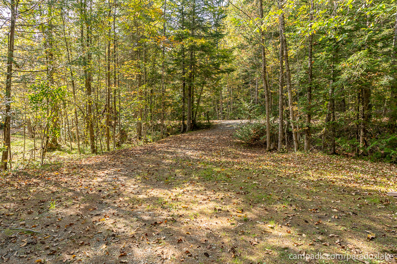 Campsite Photo of Site 2 at Paradox Lake Campground, New York - Looking Back Towards Road