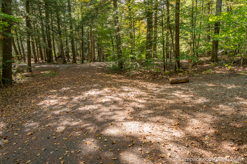 Campsite Photo of Site 52 at Paradox Lake Campground, New York - View Down Road from Campsite