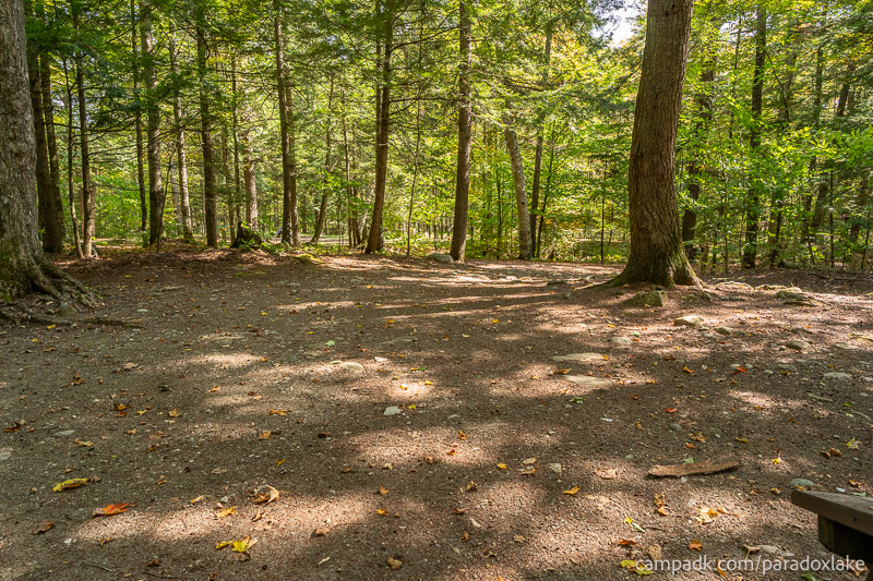 Campsite Photo of Site 52 at Paradox Lake Campground, New York - Looking Back Towards Road