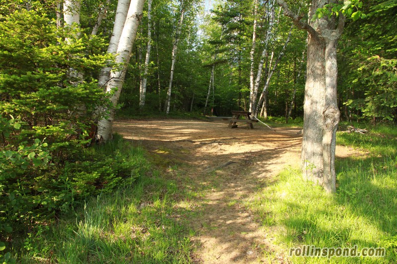 Campsite Photo of Site 3 at Rollins Pond Campground, New York - Returning Along Pathway From Water