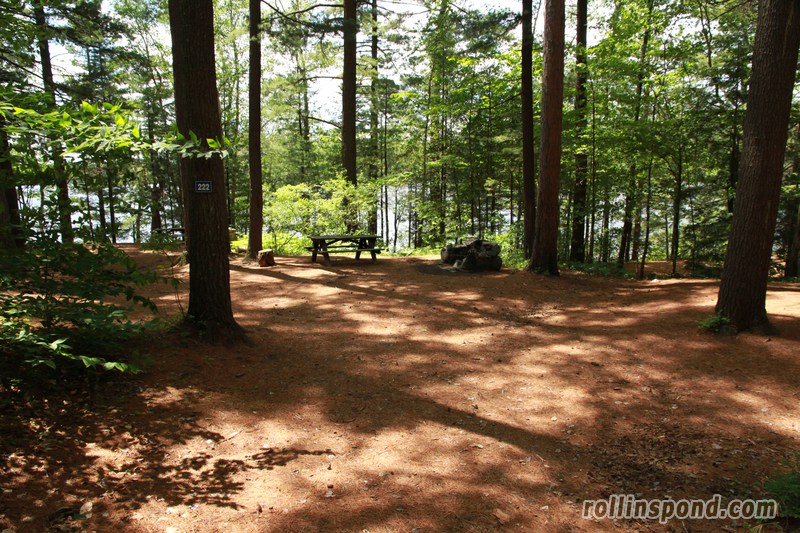 Campsite Photo of Site 222 at Rollins Pond Campground, New York - Looking at Site from Part Way In