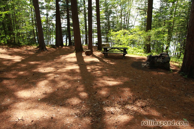 Campsite Photo of Site 222 at Rollins Pond Campground, New York - Cross Site View