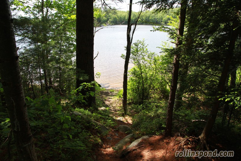 Campsite Photo of Site 222 at Rollins Pond Campground, New York - Pathway Down to Water