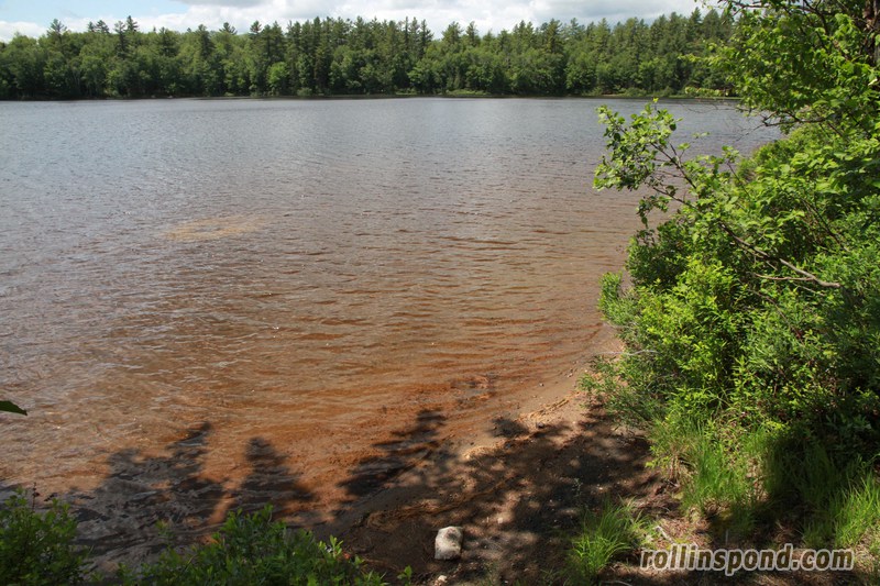 Campsite Photo of Site 222 at Rollins Pond Campground, New York - Shoreline