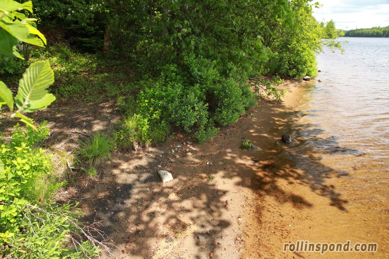 Campsite Photo of Site 222 at Rollins Pond Campground, New York - Returning Along Pathway From Water