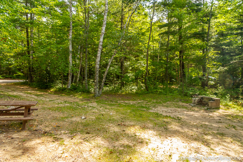 Campsite Photo of Site 3 at Rollins Pond Campground, New York - Cross Site View