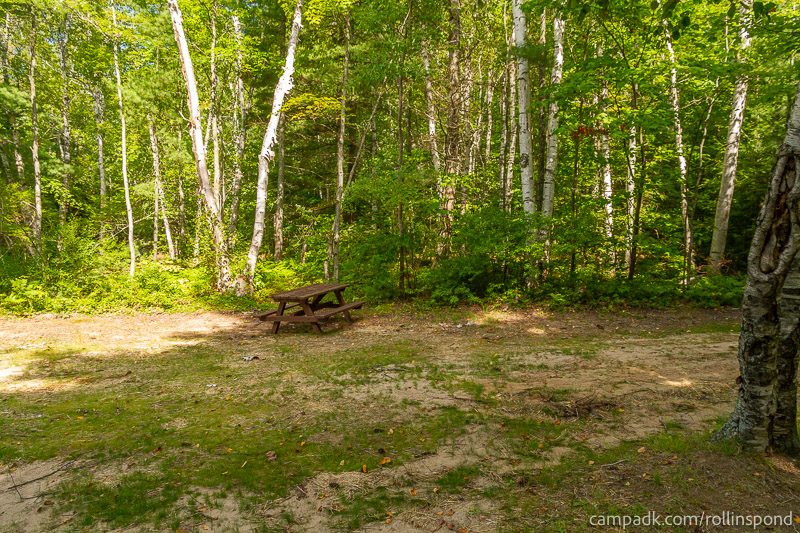 Campsite Photo of Site 3 at Rollins Pond Campground, New York - Cross Site View