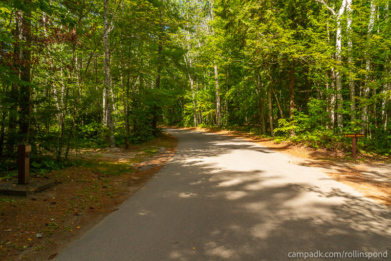 Campsite Photo of Site 3 at Rollins Pond Campground, New York - View Down Road from Campsite