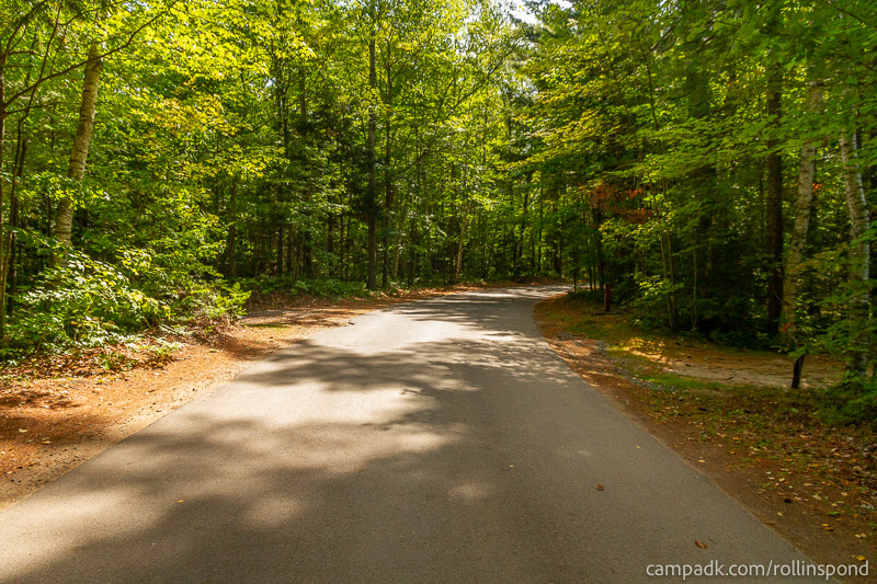 Campsite Photo of Site 3 at Rollins Pond Campground, New York - View Down Road from Campsite
