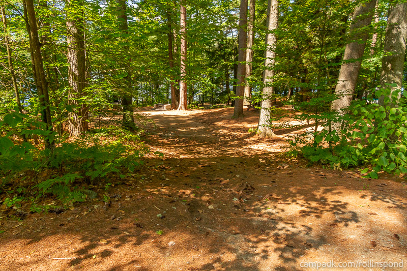 Campsite Photo of Site 222 at Rollins Pond Campground, New York - Looking at Site from Road