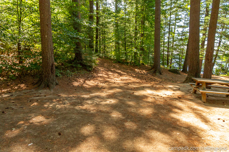 Campsite Photo of Site 222 at Rollins Pond Campground, New York - Cross Site View