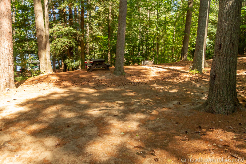 Campsite Photo of Site 222 at Rollins Pond Campground, New York - Cross Site View