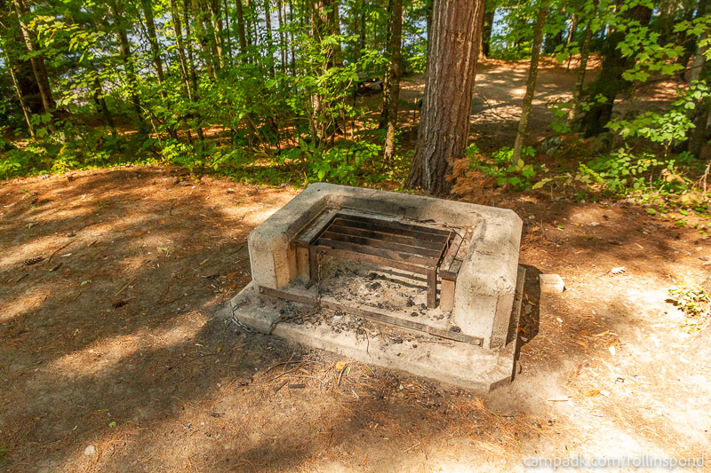 Campsite Photo of Site 222 at Rollins Pond Campground, New York - Fireplace View