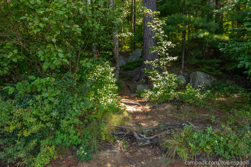 Campsite Photo of Site 222 at Rollins Pond Campground, New York - Returning Along Pathway from Water