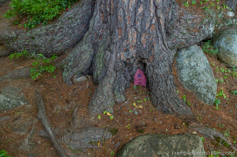Campsite Photo of Site 222 at Rollins Pond Campground, New York - Returning Along Pathway from Water