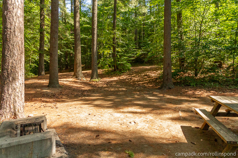 Campsite Photo of Site 222 at Rollins Pond Campground, New York - Looking Back Towards Road