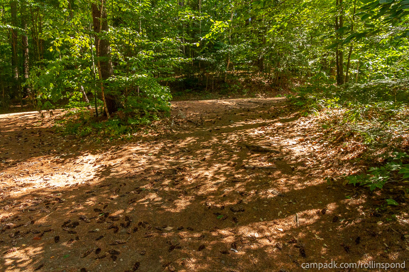 Campsite Photo of Site 222 at Rollins Pond Campground, New York - Looking Back Towards Road