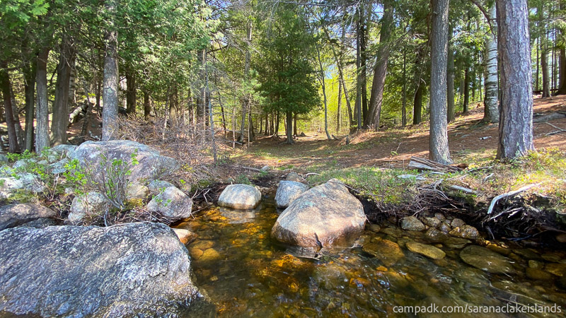 Campsite Photo of Site 65 at Saranac Lake Islands Campground, New York - View From Water of Shoreline